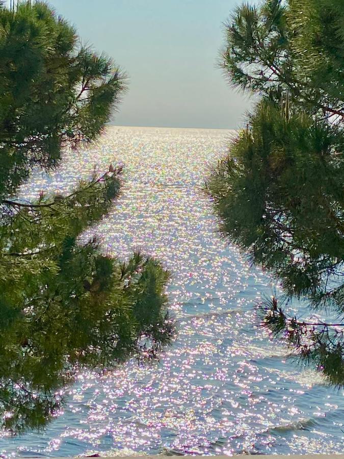 Apartment Mit Meerblick Am Strand Costa Azzura Grado Zewnętrze zdjęcie
